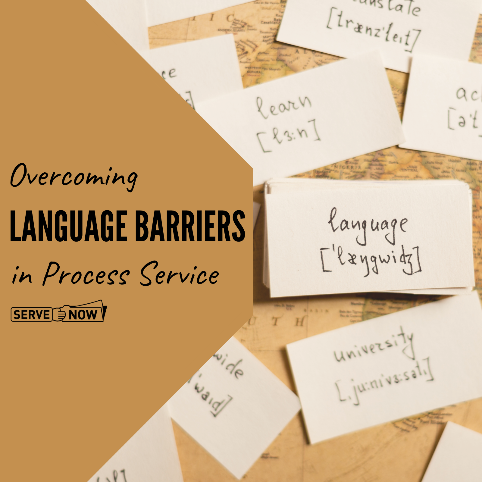 Overcoming Language Barriers in Process Service